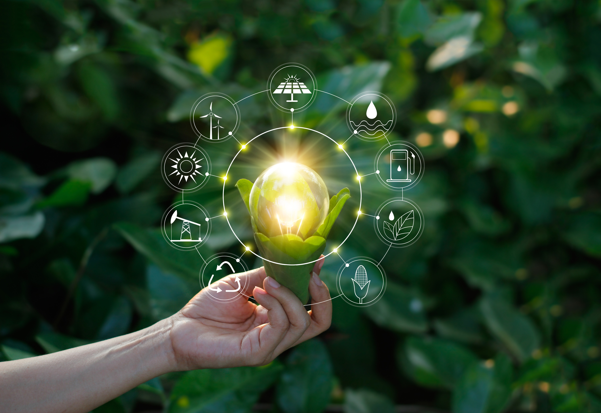 Ecology concept. Hand holding light bulb against nature on green leaf with icons energy sources for renewable, sustainable development, save energy.