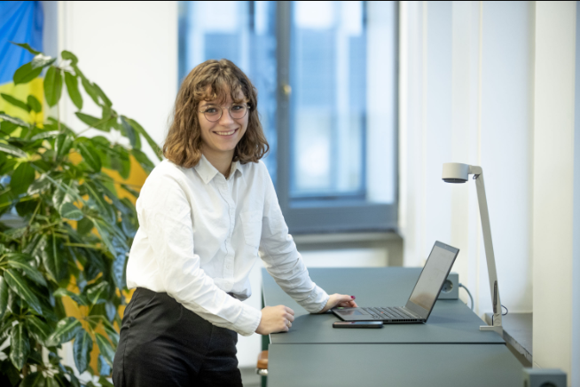 Low-Code Developer
